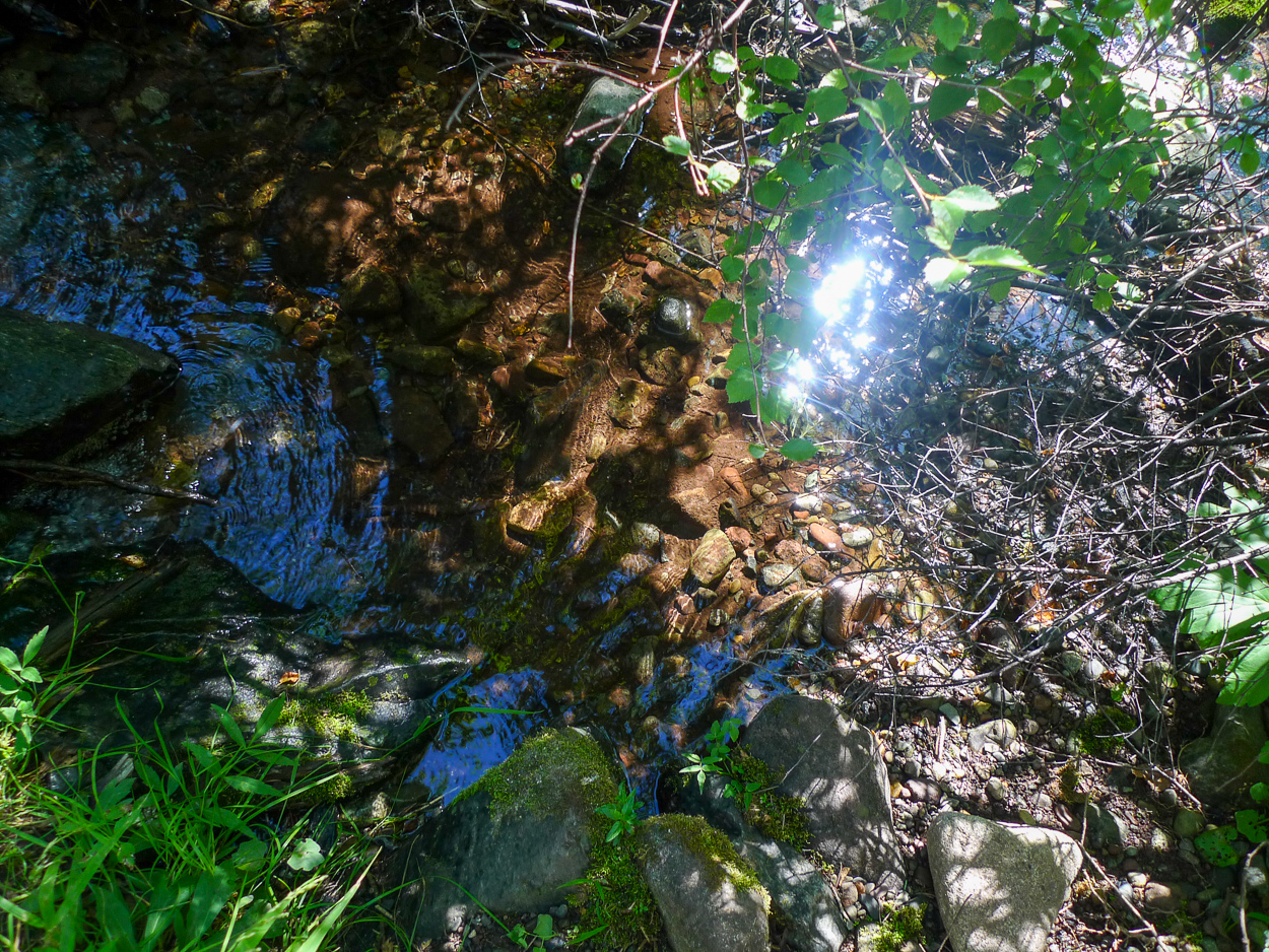 Hayden Creek flowing water